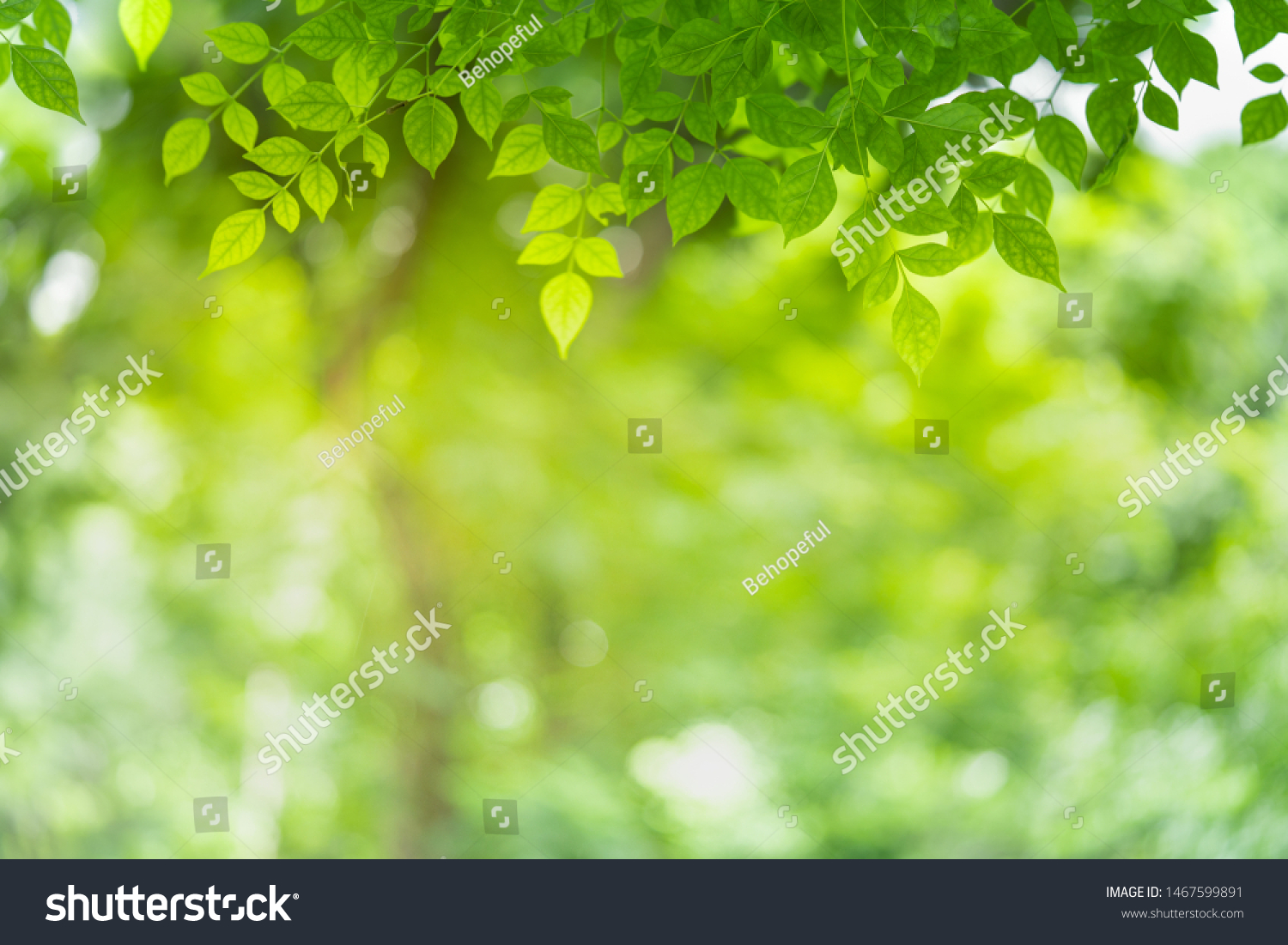 Green Nature Background Closeup View Green Stock Photo 1467599891 ...