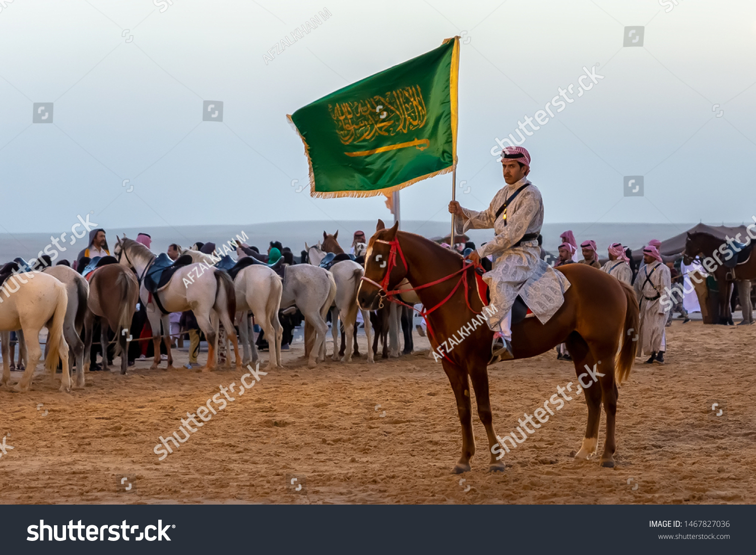 desert safari horse