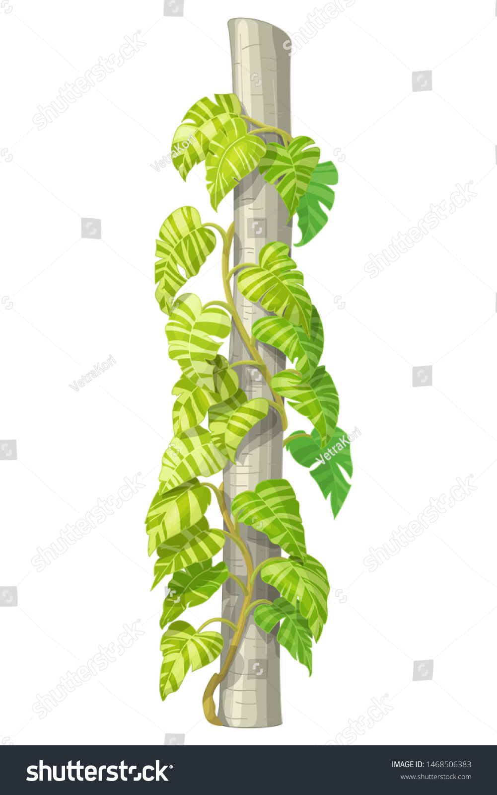 Vector Handdrawn Plant Clipart Devils Ivy Stock Vector (Royalty Free ...