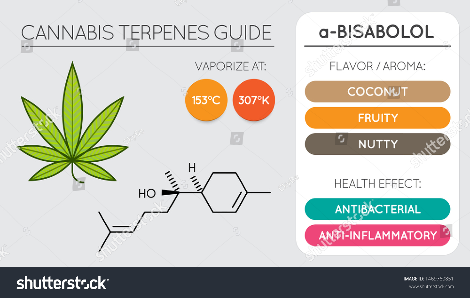 Cannabis Terpene Guide Information Chart Aroma Stock Vector (Royalty ...