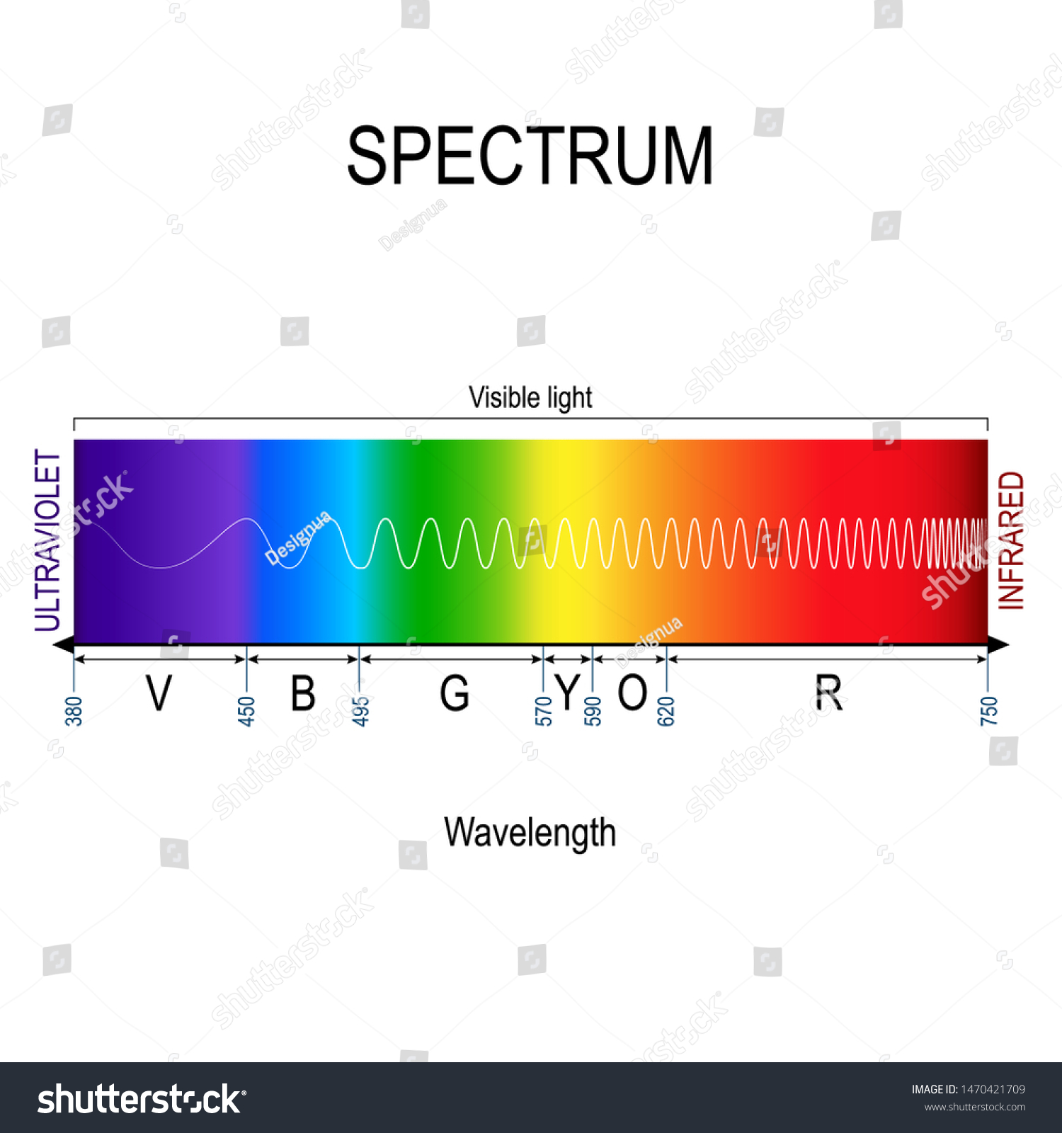 Collection 27+ Pictures visible light in order of increasing frequency Stunning