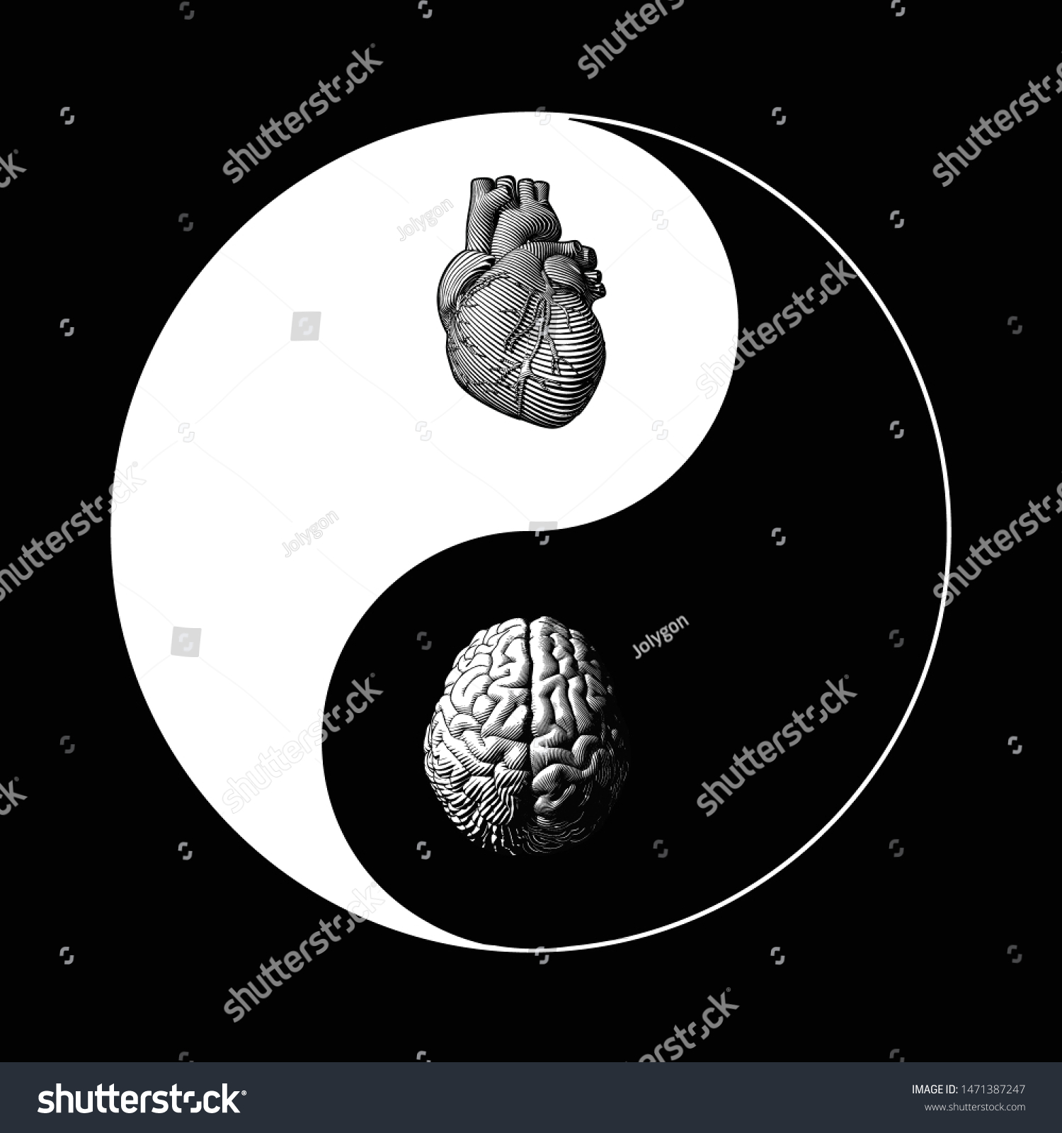 Monochrome Black White Yin Yang Chinese Stock Vector (Royalty Free ...