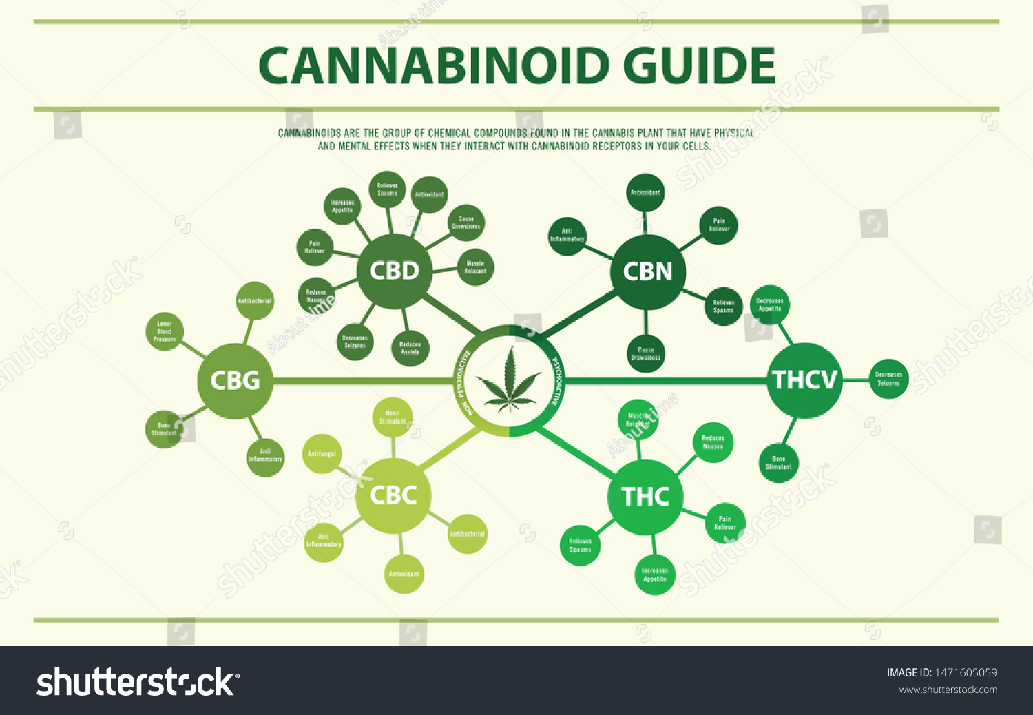 3,883 Cannabinoids Stock Vectors, Images & Vector Art | Shutterstock