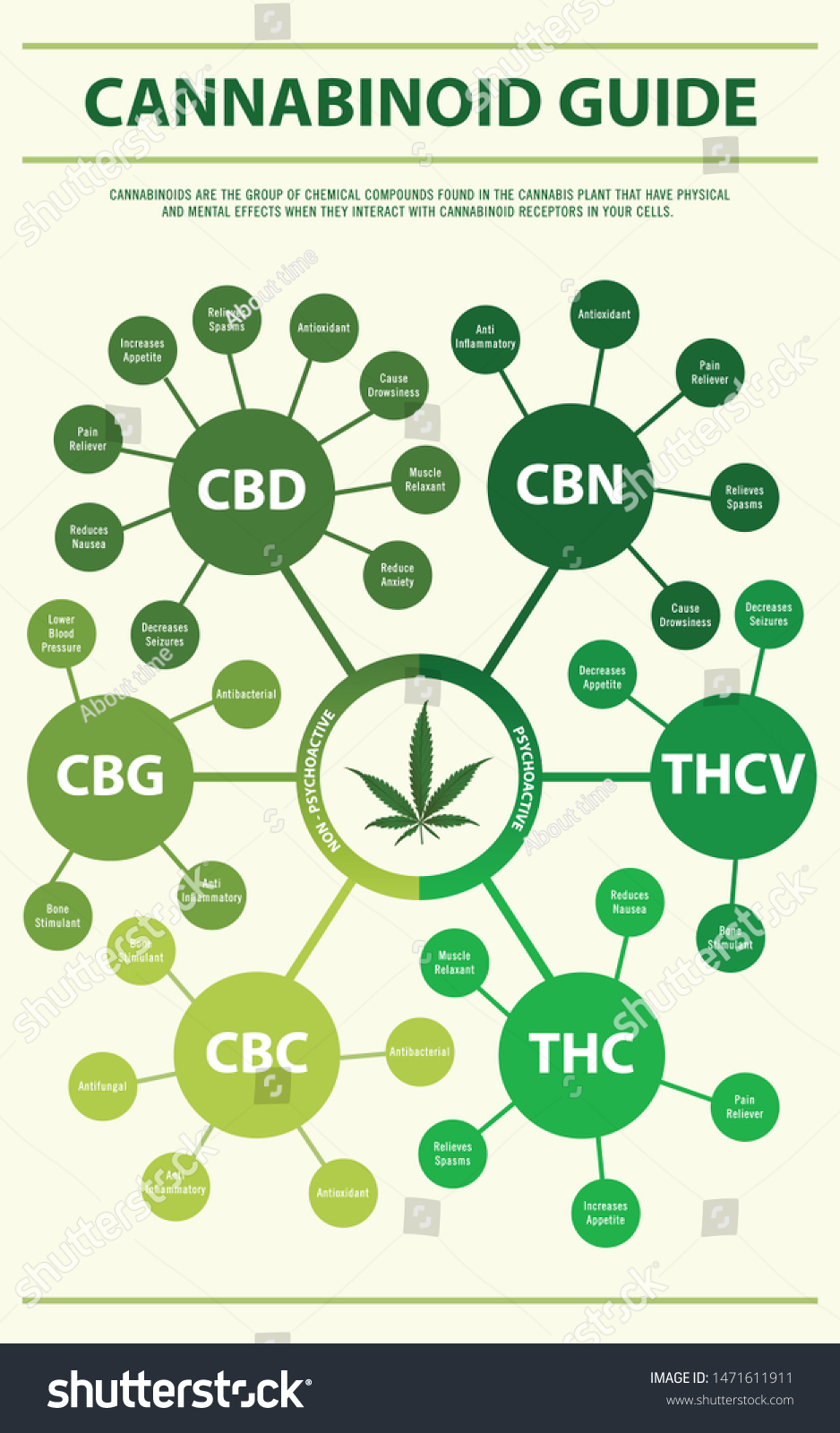 Cannabinoid Guide Horizontal Infographic Illustration About: Vector De ...