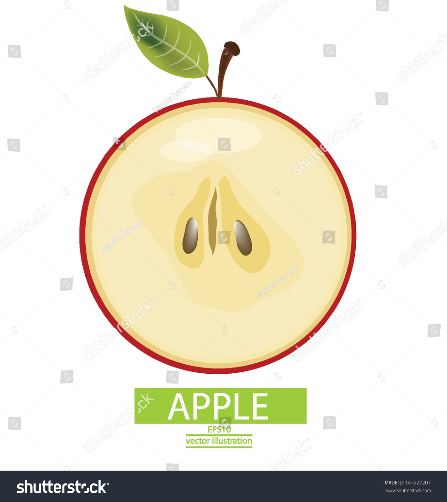 Apple Fruits Vector Illustration เวกเตอร์สต็อก ปลอดค่าลิขสิทธิ์