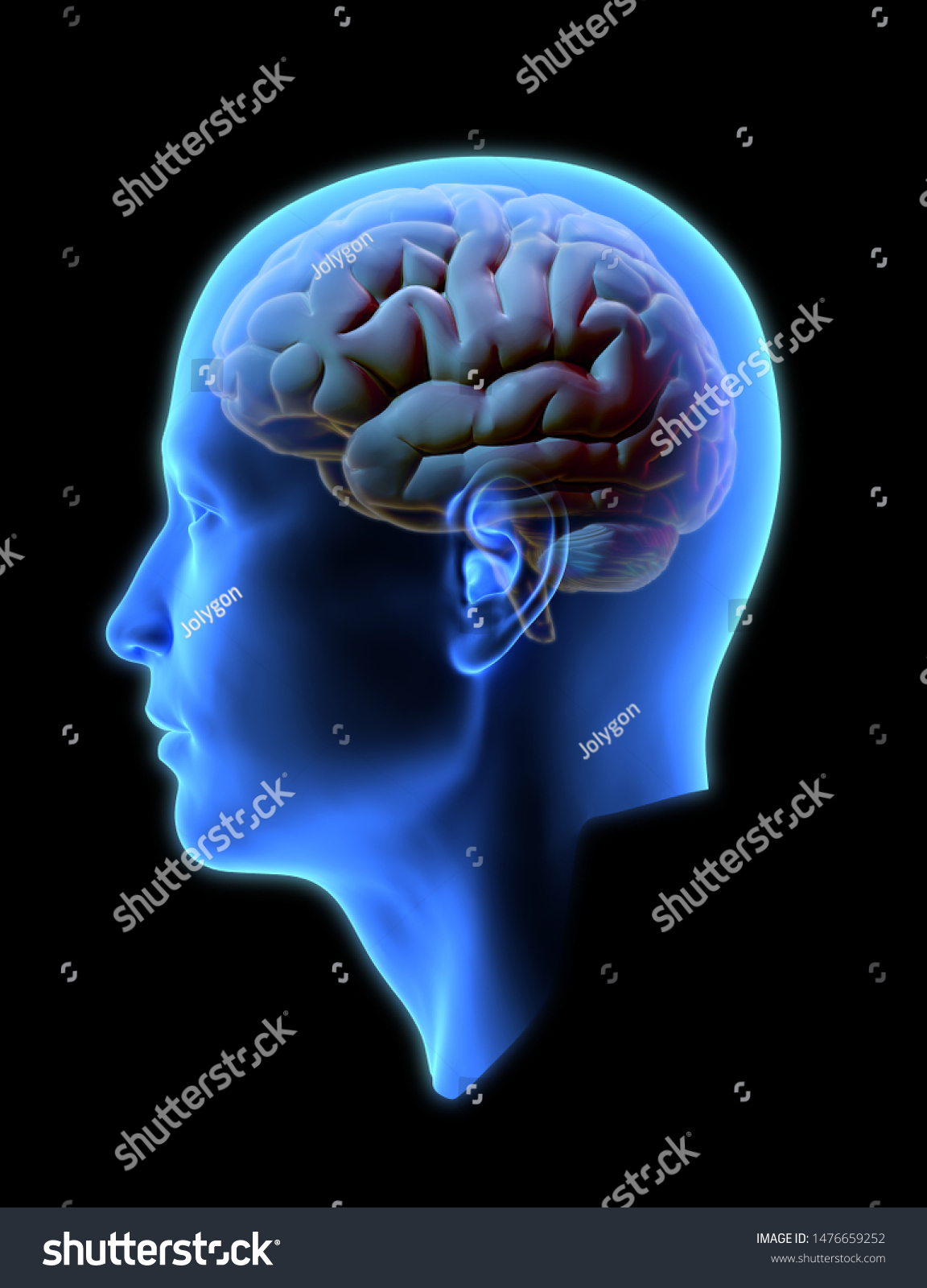 3d Rendering Human Head Side View Stock Illustration 1476659252 ...