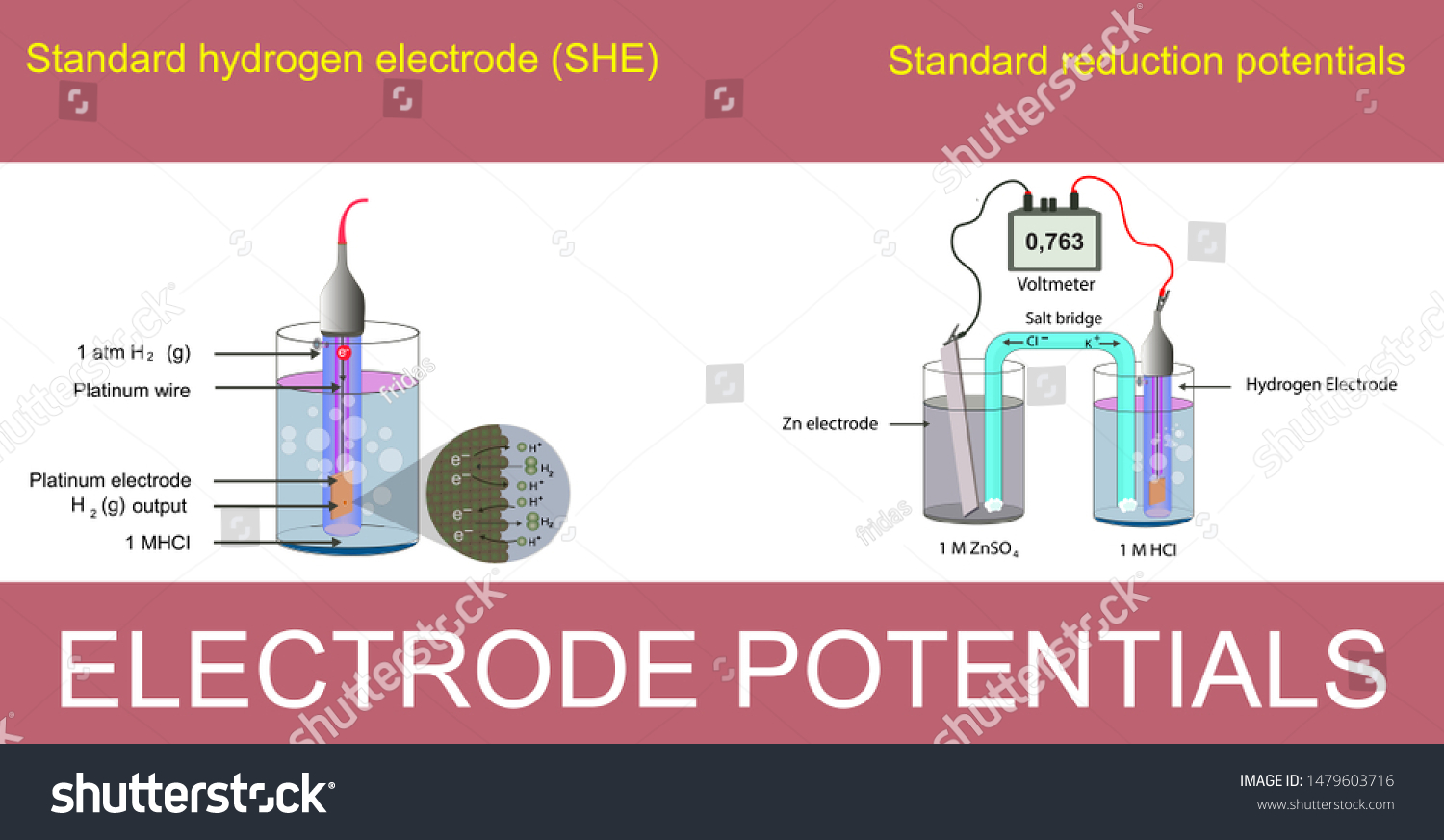 Electrode Potentials Standard Hydrogen Electrode Standard Stock Vector