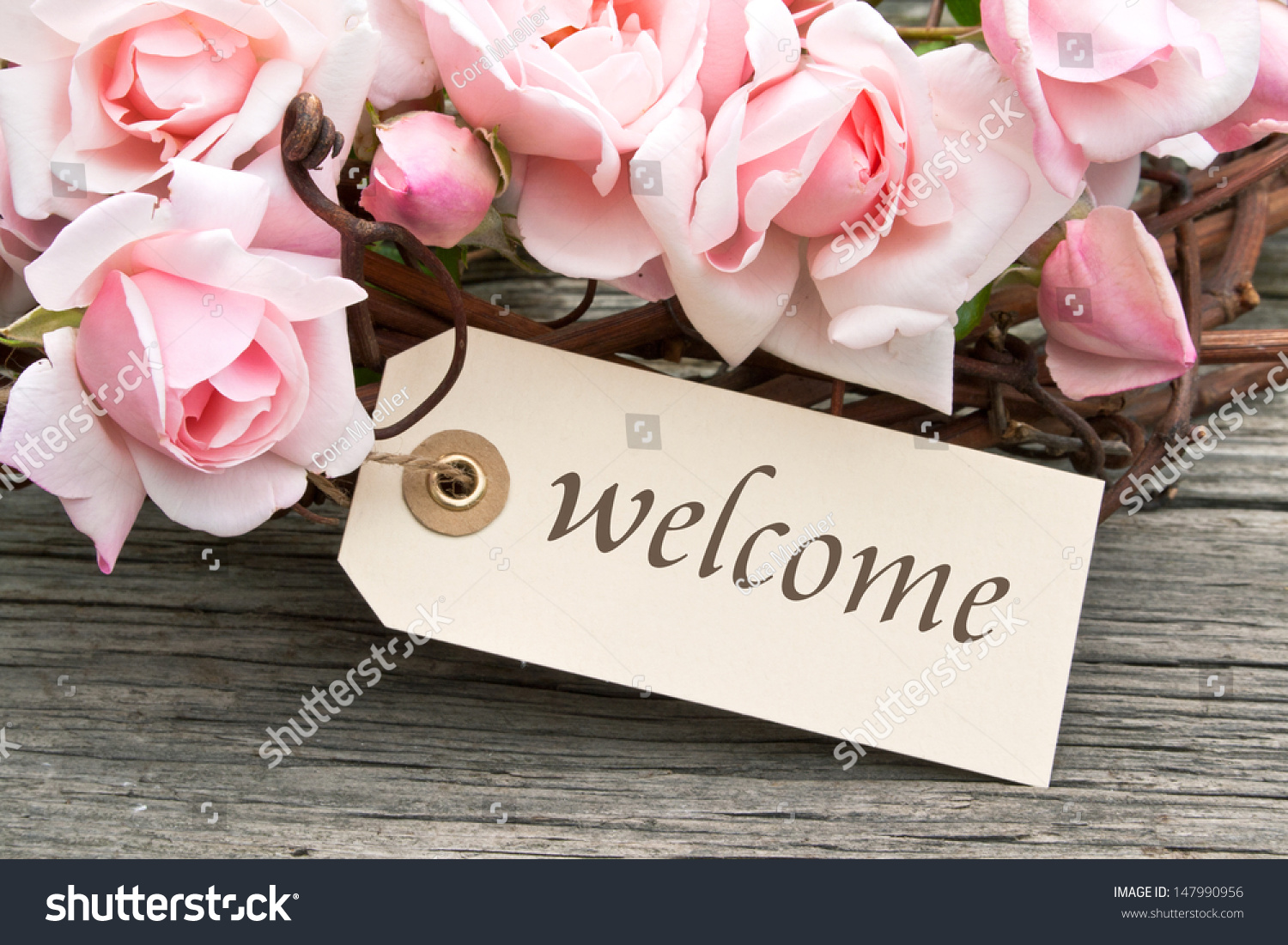 5,174 Rose welcome Stock Photos, Images & Photography | Shutterstock