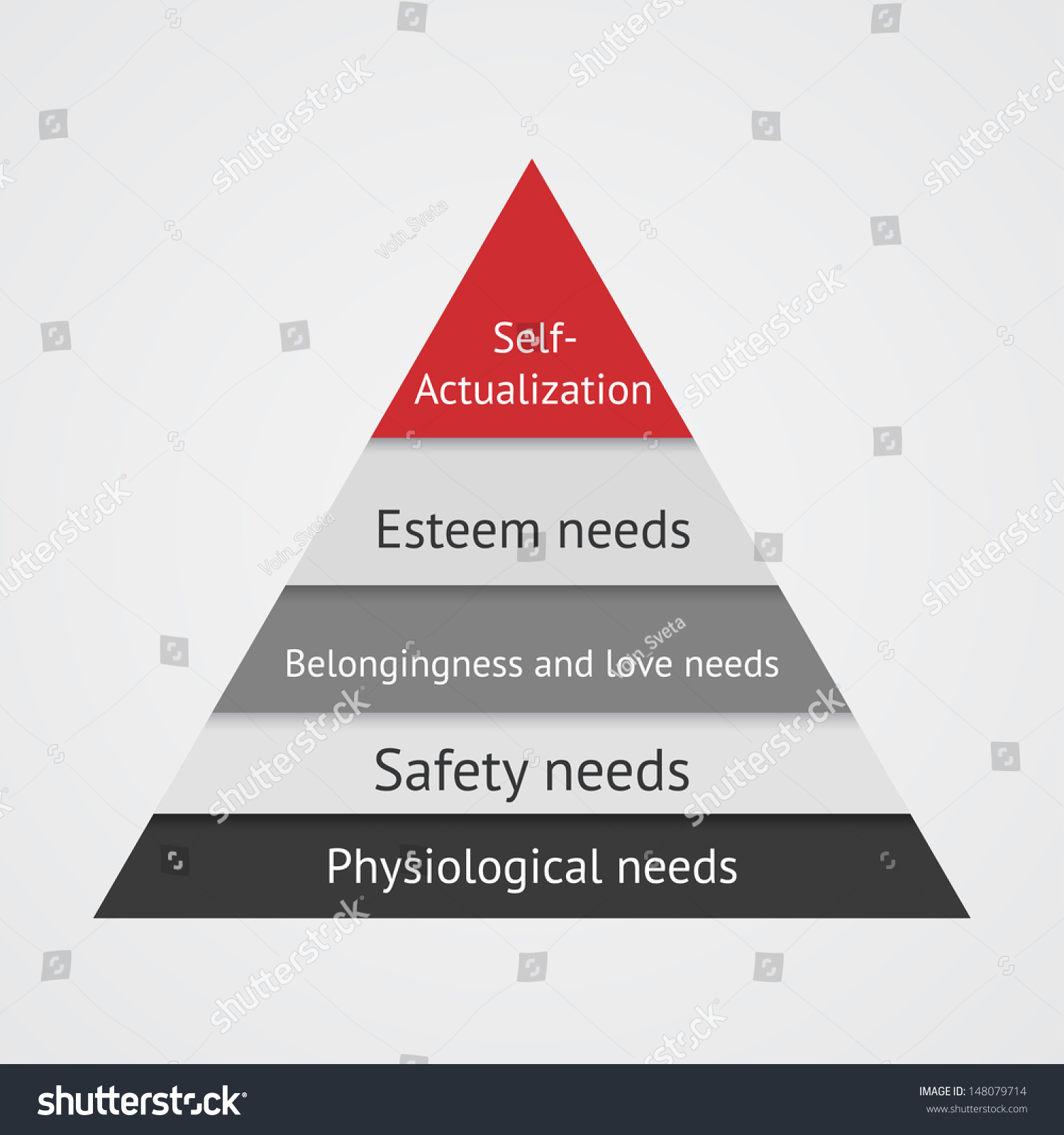 Maslows Pyramid Infographic Maslow Pyramid Hierarchy Stock Vector