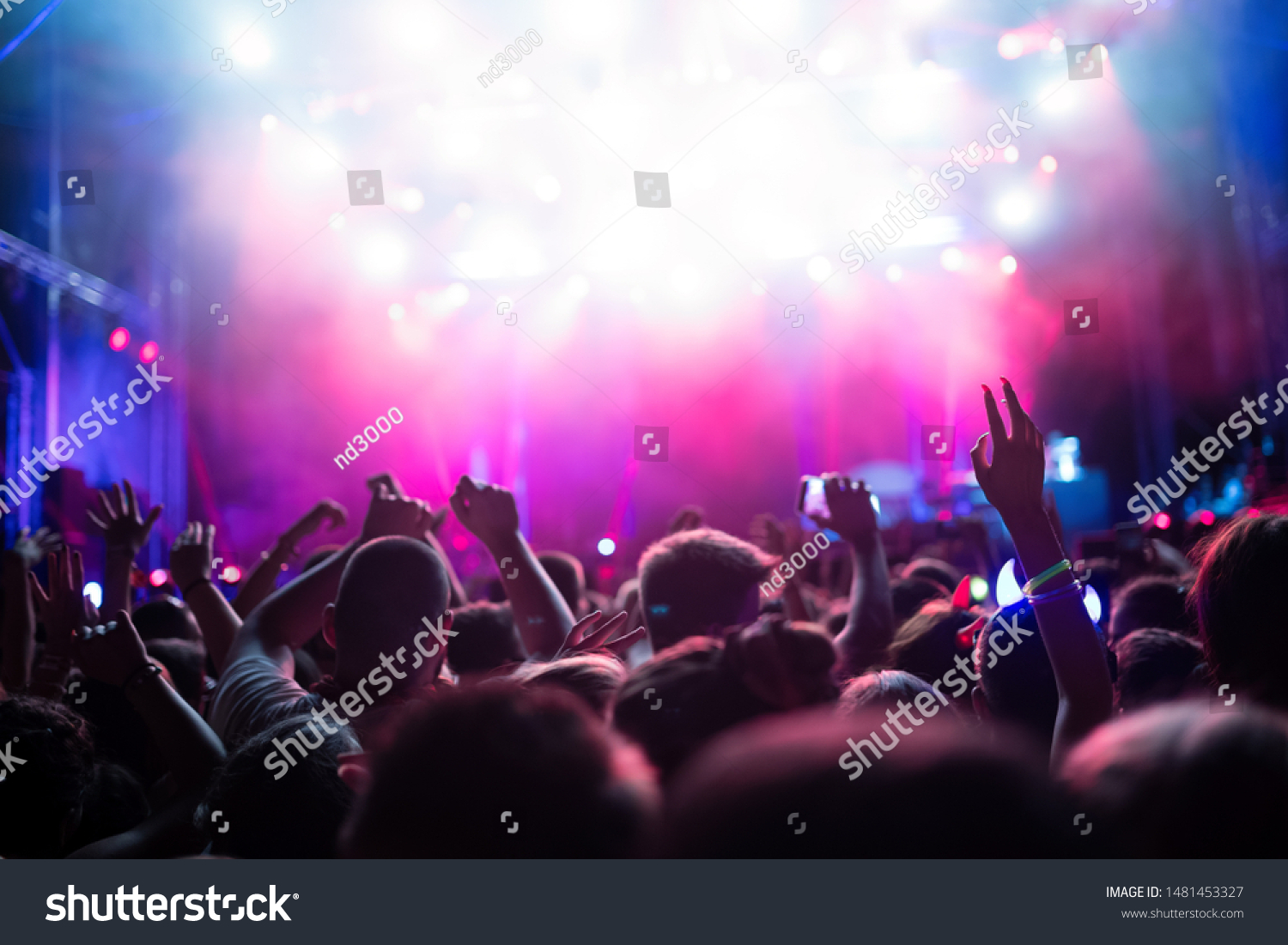 Portrait Happy Crowd Enjoying Music Festival Stock Photo 1481453327 ...