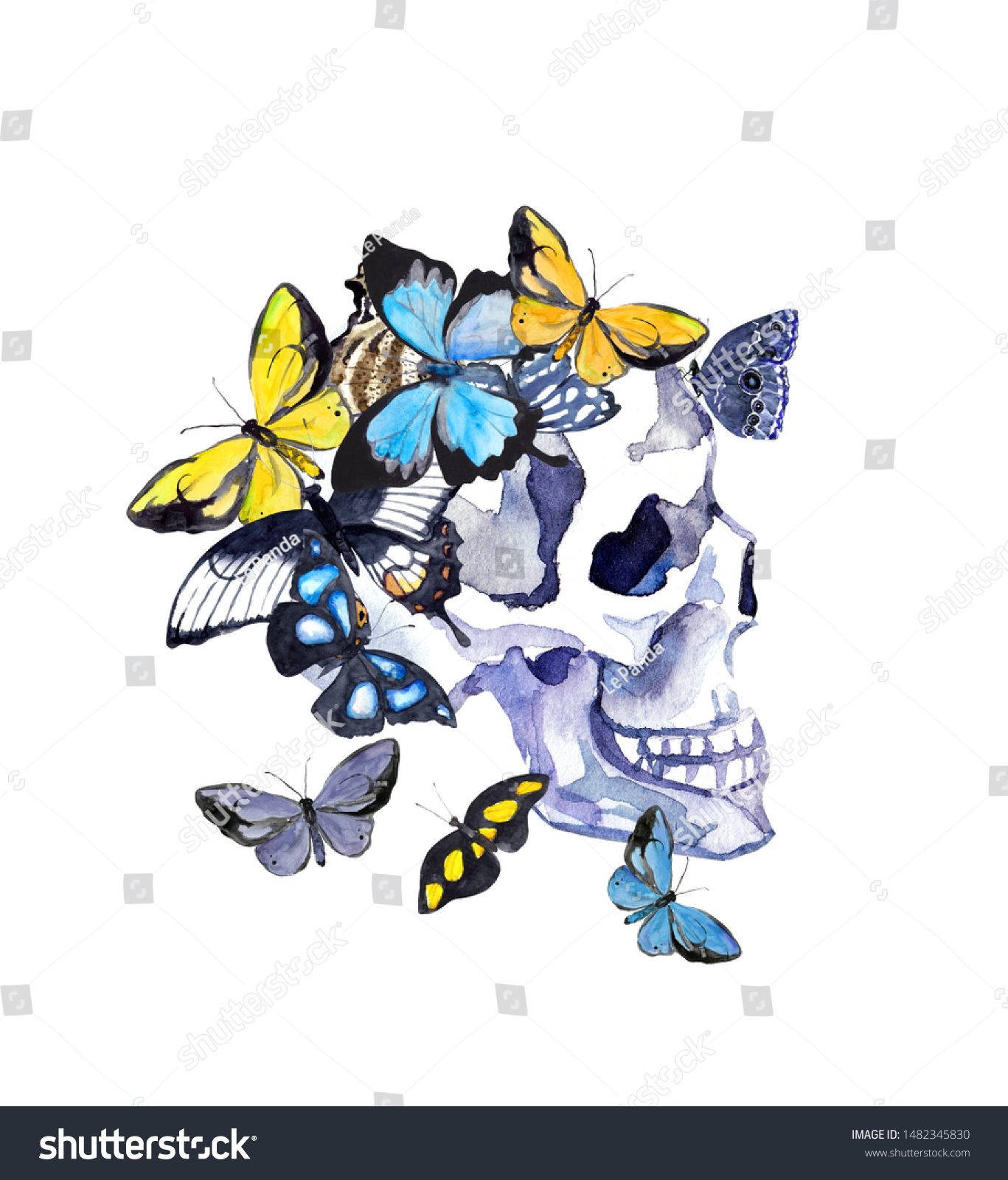 Human Skull Profile Butterflies Watercolor Illustration Stock ...