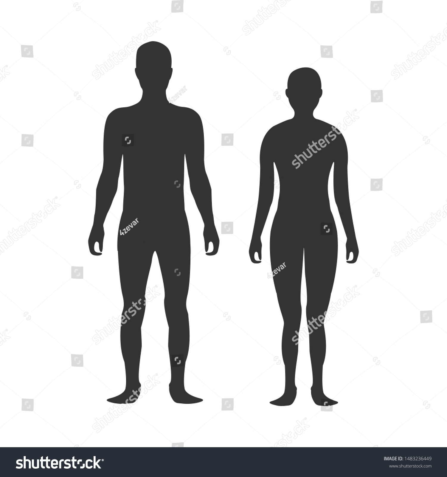 Male Female Body Silhouette Template Isolated Stock Vector Royalty Free 1483236449 Shutterstock 8447