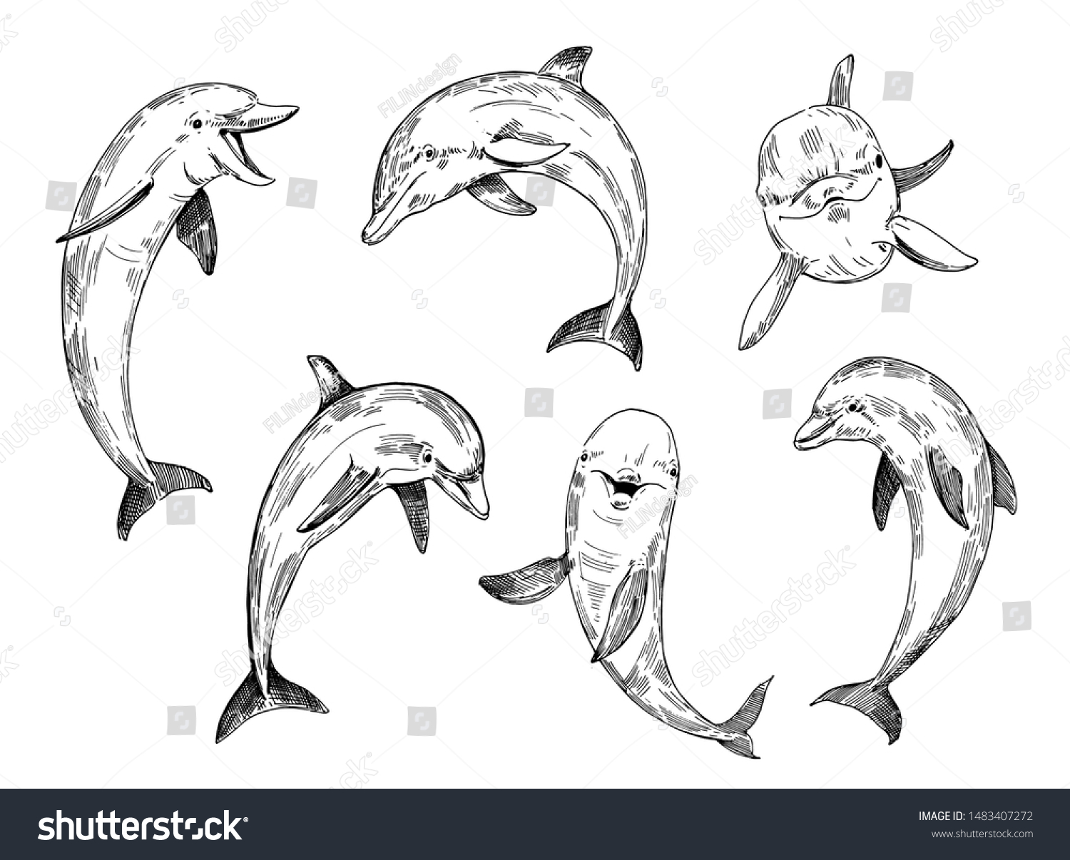 Дельфин рисунок скетч