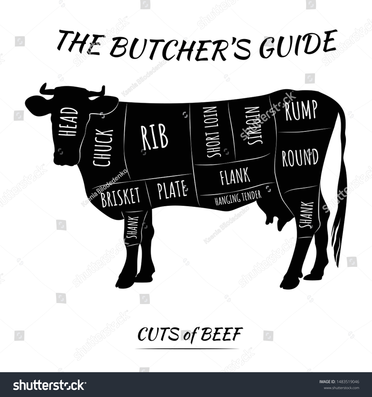 Butchers Guide Set Cuts Cow Meat Stock Vector (Royalty Free) 1483519046 ...