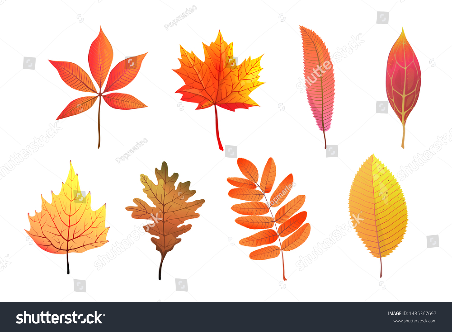 Forest Foliage Flat Vector Illustrations Set Stock Vector (Royalty Free ...