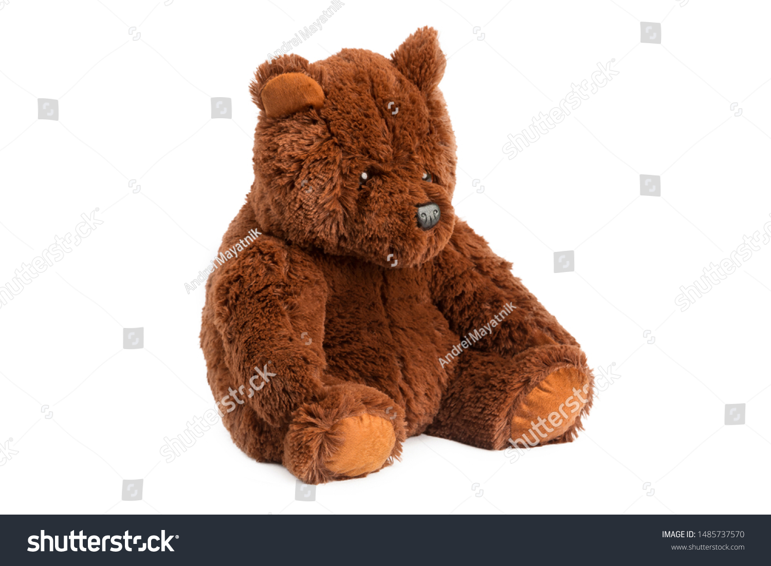 Eddy Bear Volume 1 Download