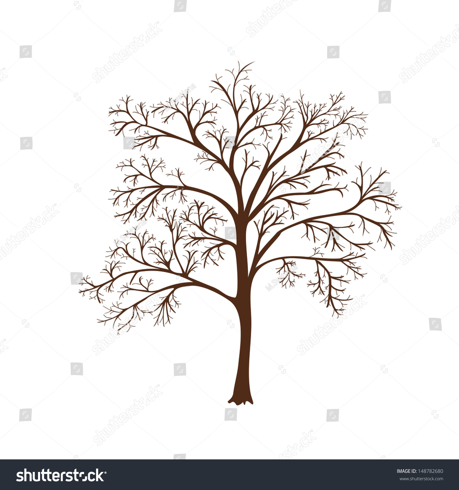 Дерево рябина без листьев