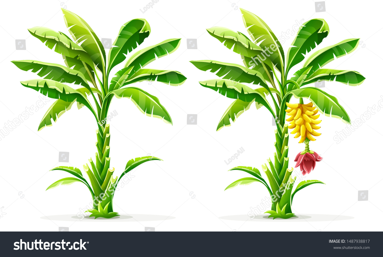 7,895 Banana Farm Vector Images, Stock Photos & Vectors | Shutterstock