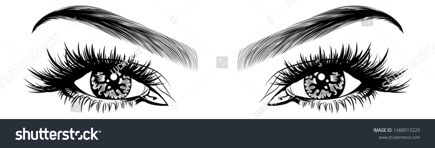 Illustration Womans Eyes Eyelashes Eyebrows Realistic Stock Vector Royalty Free 1488013220 9357