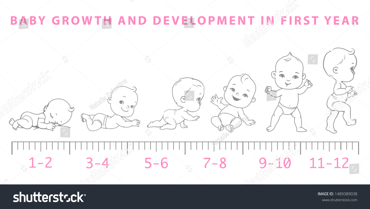 Baby Development Baby Growth Newborn Toddler Stock Vector (Royalty Free ...