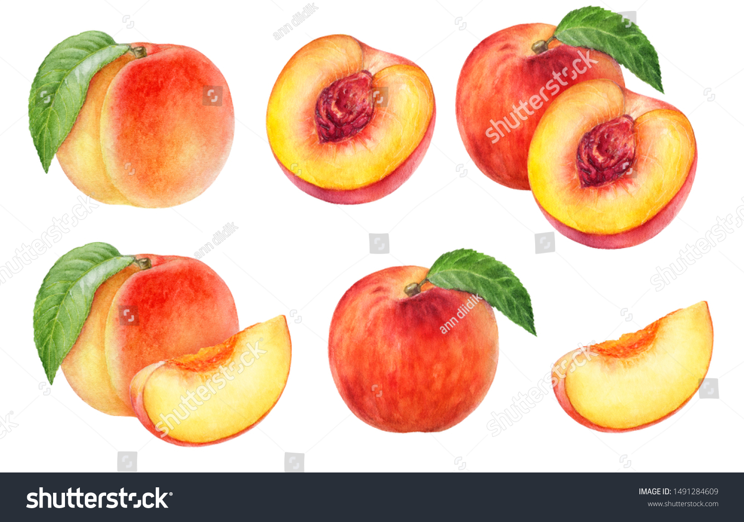 Предметная картинка персик в разрезе для малышей