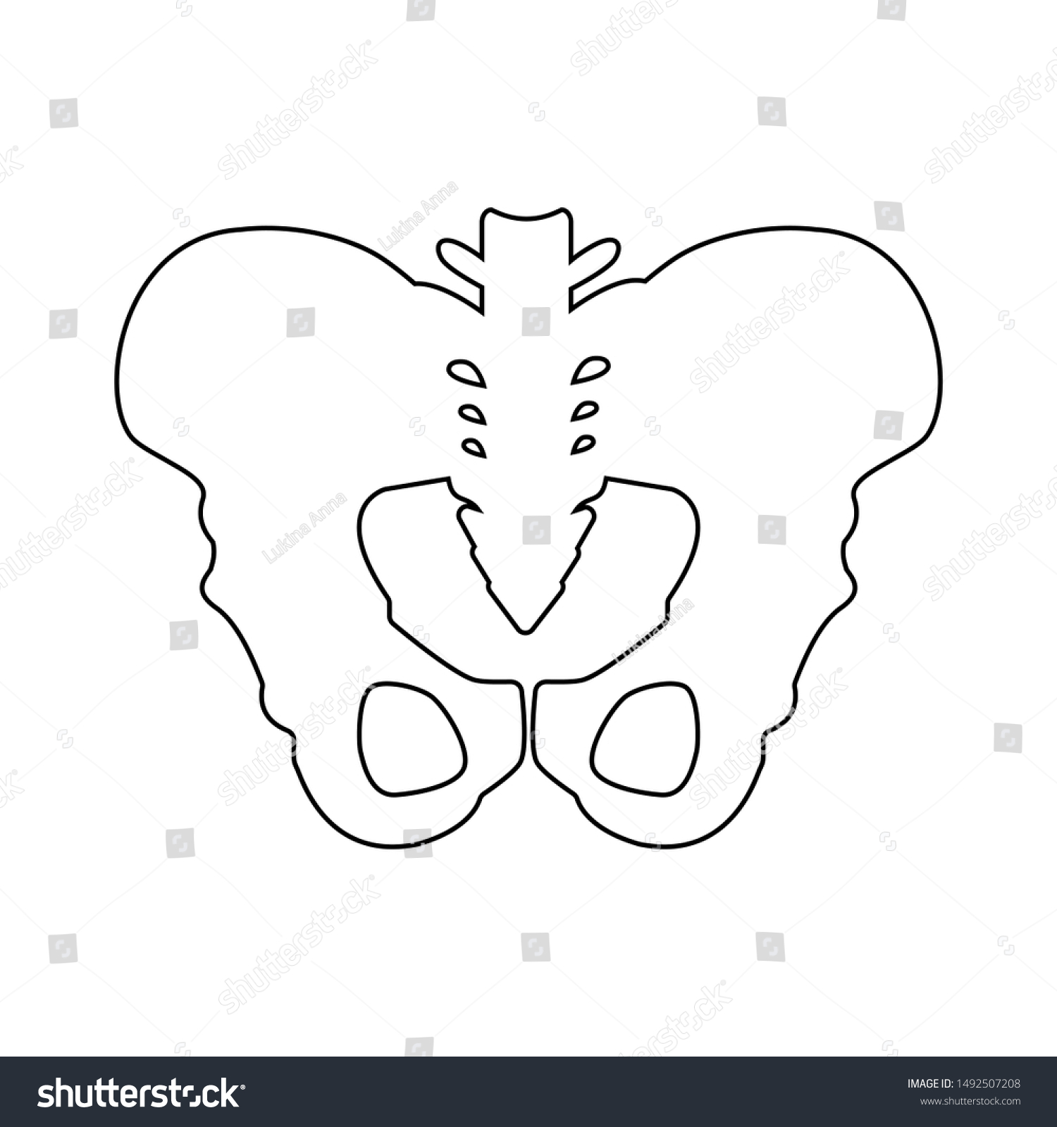 Silhouette Pelvis Icon Outline Element Vector Stock Vector (Royalty ...