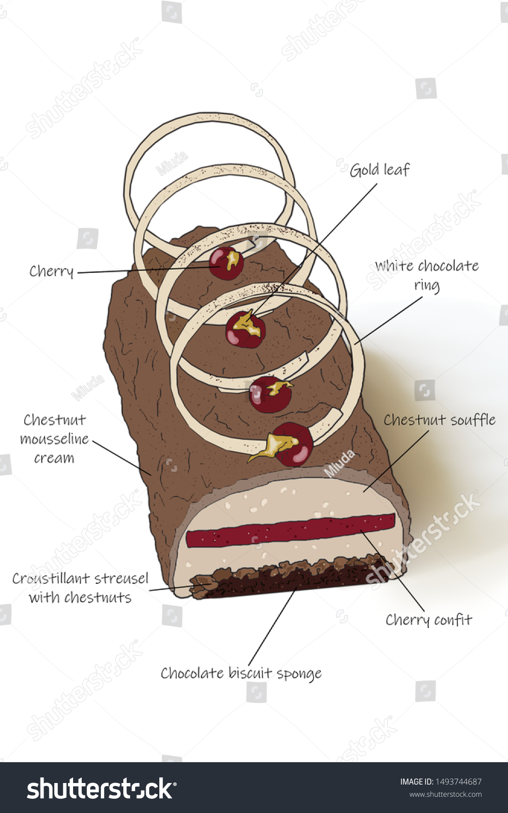 Detailed Schematic Diagram Cake Description Layers Stock Illustration ...