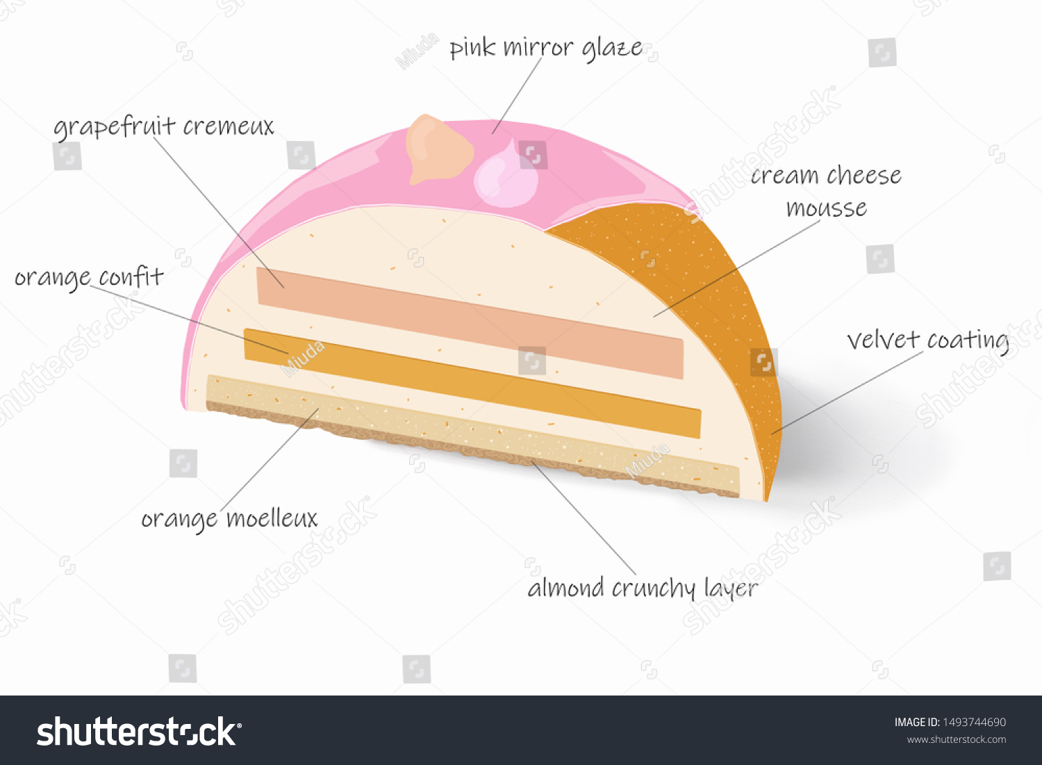 Detailed Schematic Diagram Cake Description Layers Stock Illustration ...