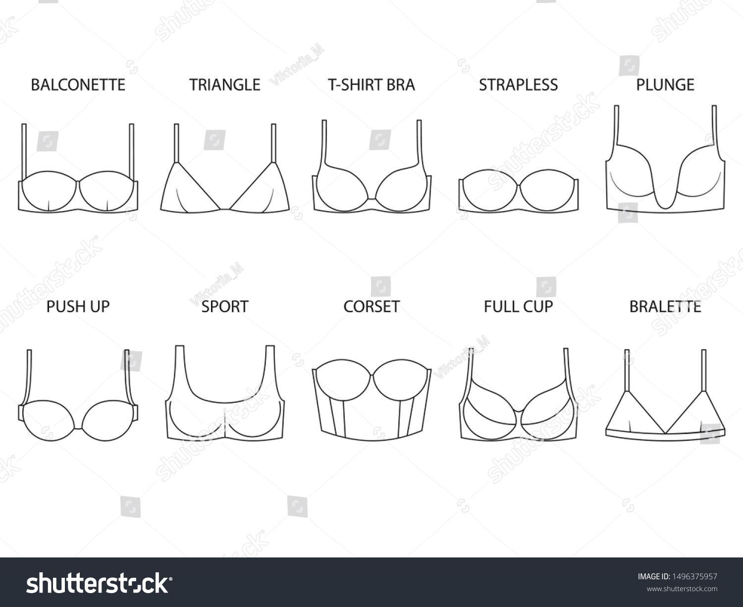 Types Womens Bra Isolated On White Stock Vector (Royalty Free ...