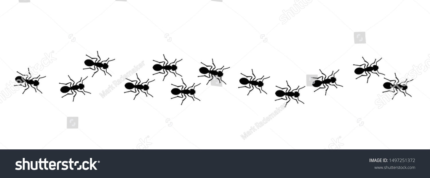 Ant Insect Emmet Insects Pismire Banner Stock Vector (Royalty Free ...