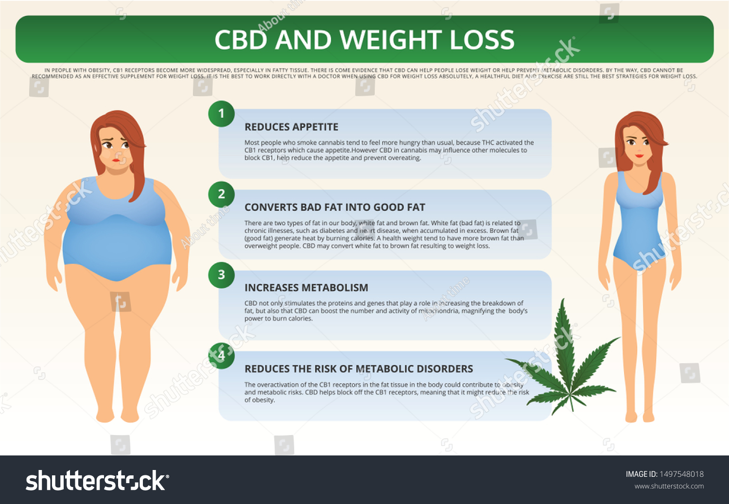 Cbd Weight Loss Horizontal Textbook Infographic Stock Vector (Royalty ...