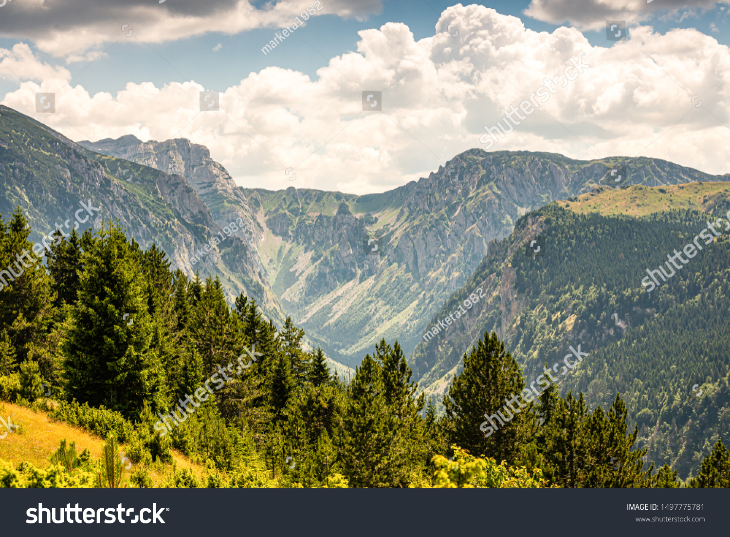 Shiny Emigrate Pure Mala Crna Gora Area National Park Stock Photo 1497775781 | Shutterstock