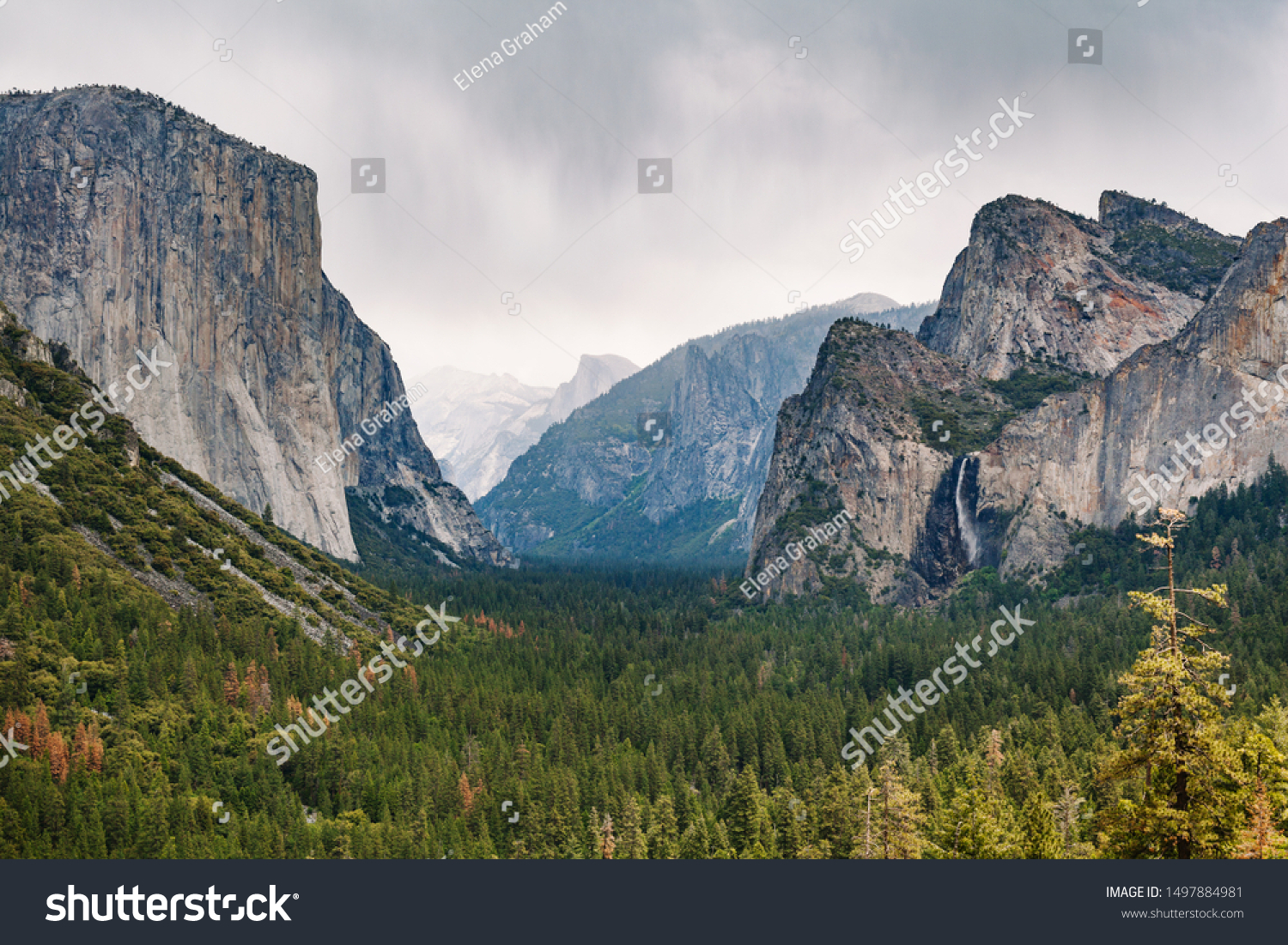 Yosemite Vista National Parks 