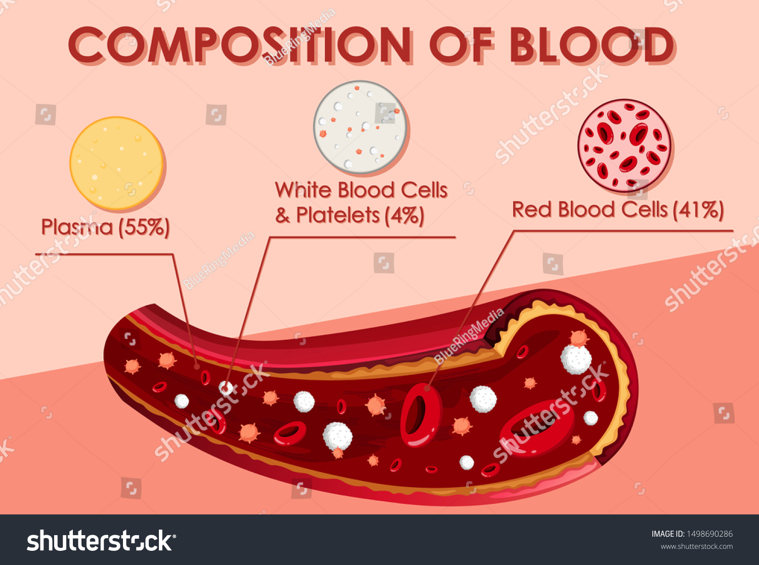 diagram-showing-composition-blood-illustration-stock-vector-royalty-free-1498690286-shutterstock