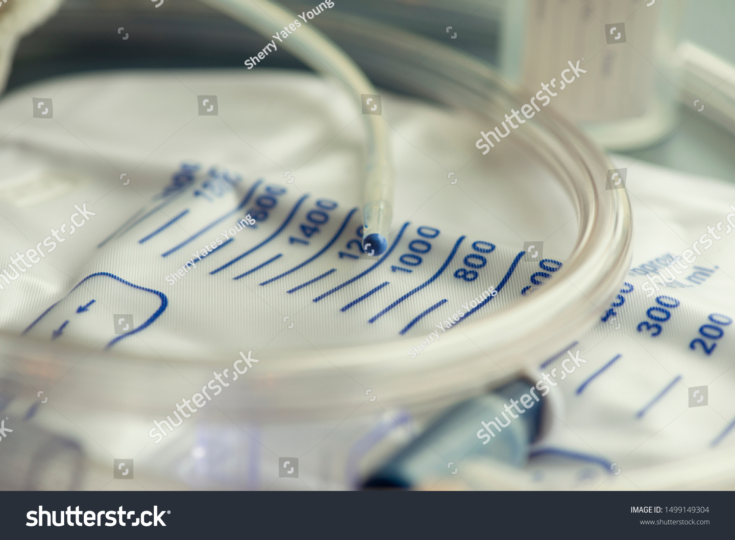 Urinary Catheterwith Drainage Bag Sample Cup Stock Photo 1499149304 ...