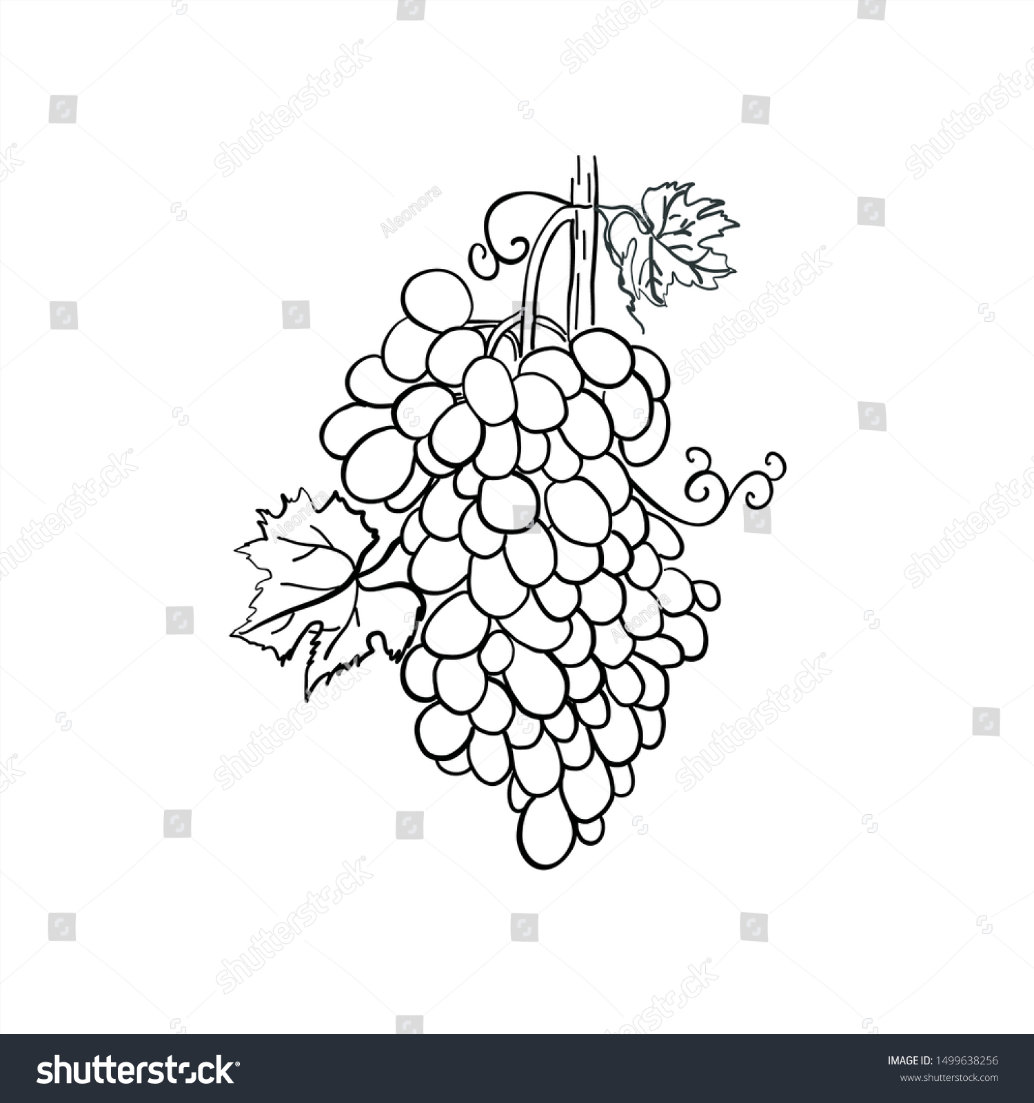 Handdrawn Grapes Print Packaging Label Design Stock Vector (Royalty ...