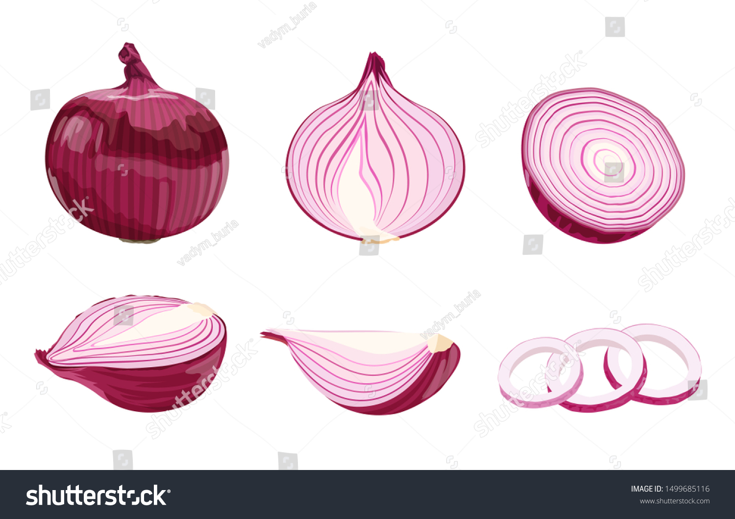 Set Flat Cartoon Red Onions Isolated Stock Vector (Royalty Free ...