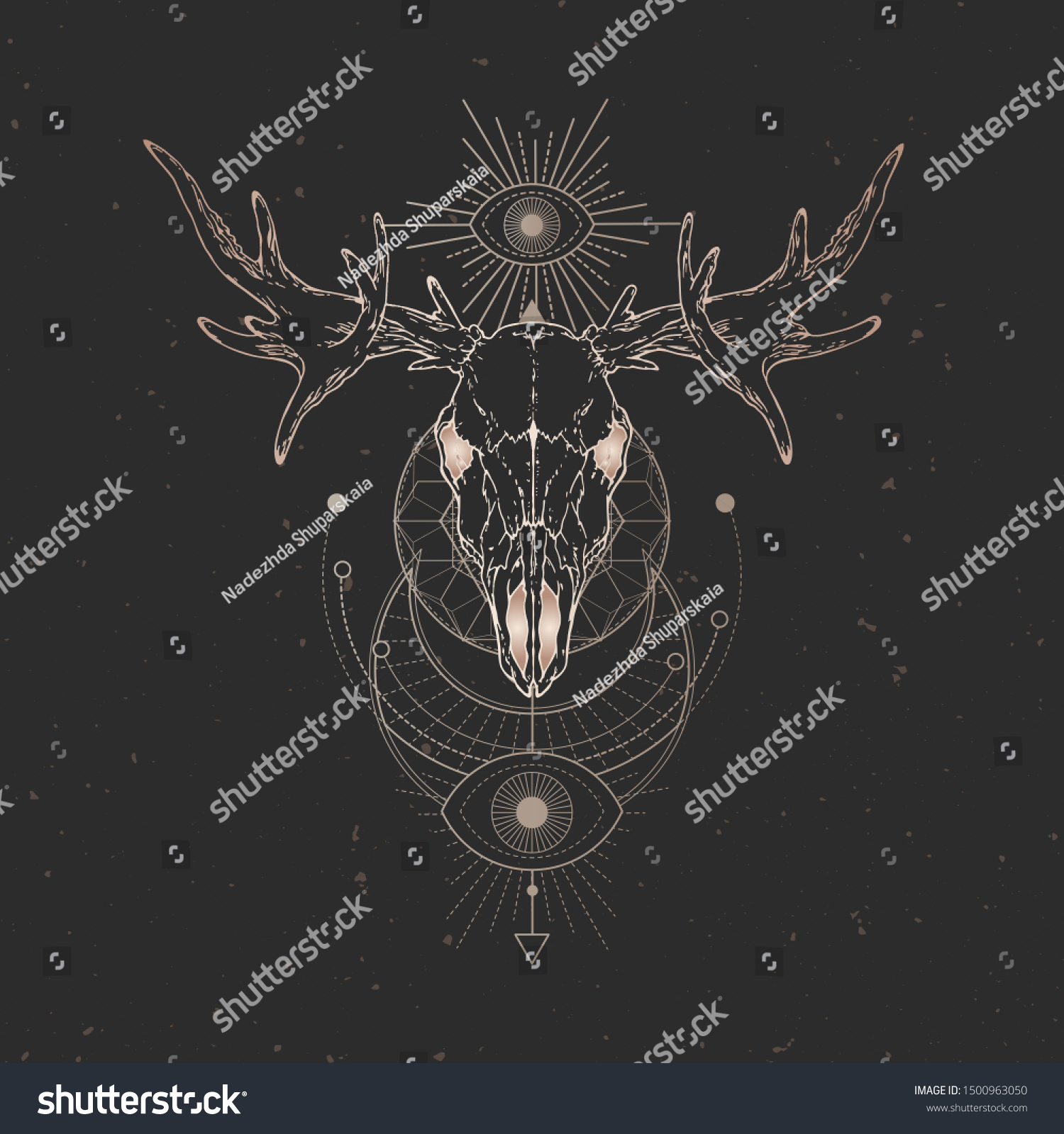 Vector Illustration Hand Drawn Moose Skull Stock Vector (Royalty Free ...