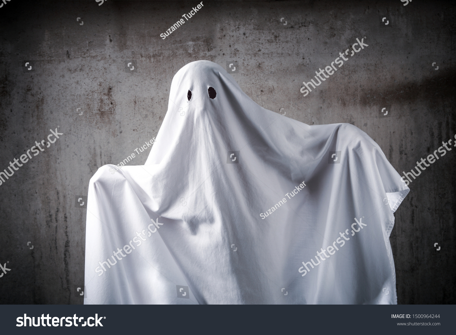 Ghost Costume Out Sheet Eye Holes Stock Photo 1500964244 | Shutterstock