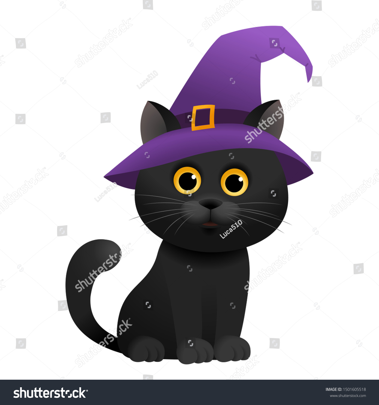 black cat with hat