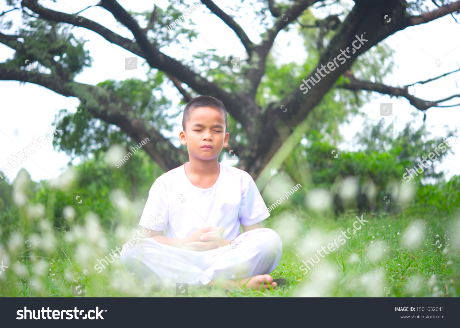 Asian Boy Meditation Park Big Tree Stock Photo 1501632041 | Shutterstock