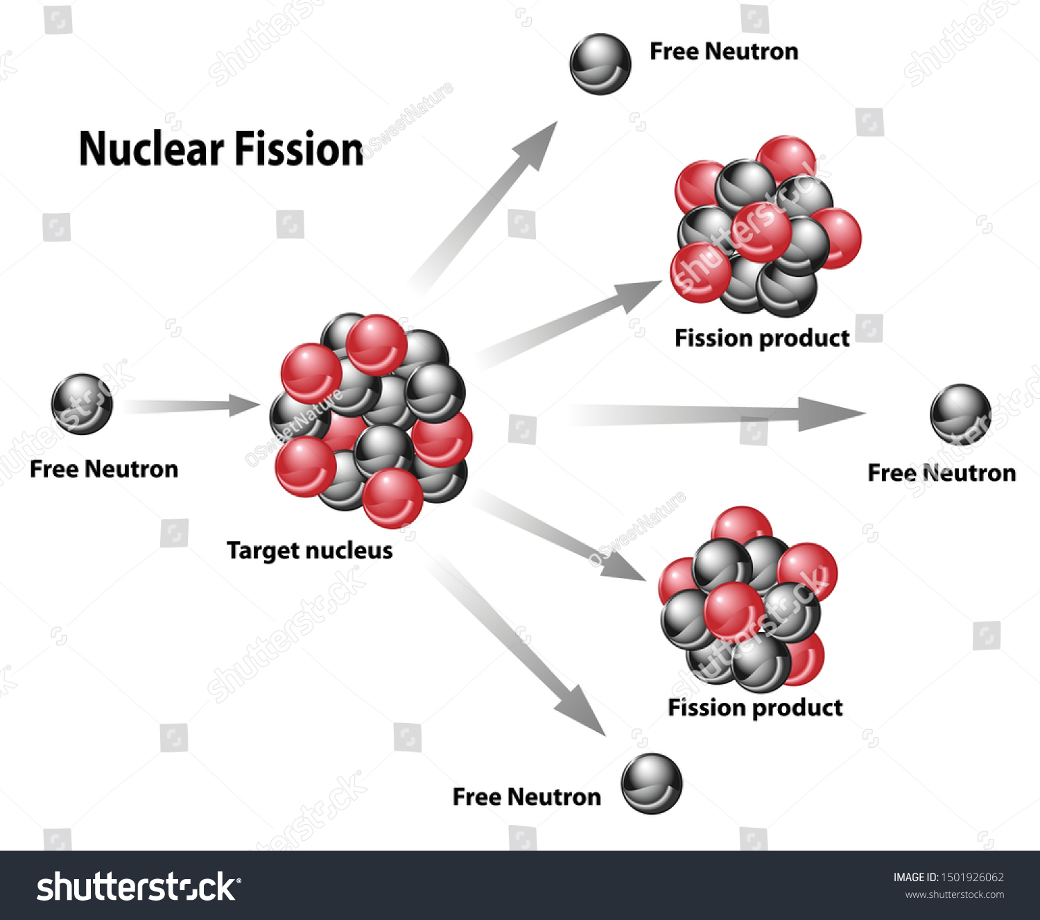 Nuclear Energy Diagram Nuclear Fission Reaction Stock Vector Royalty Free 1501926062