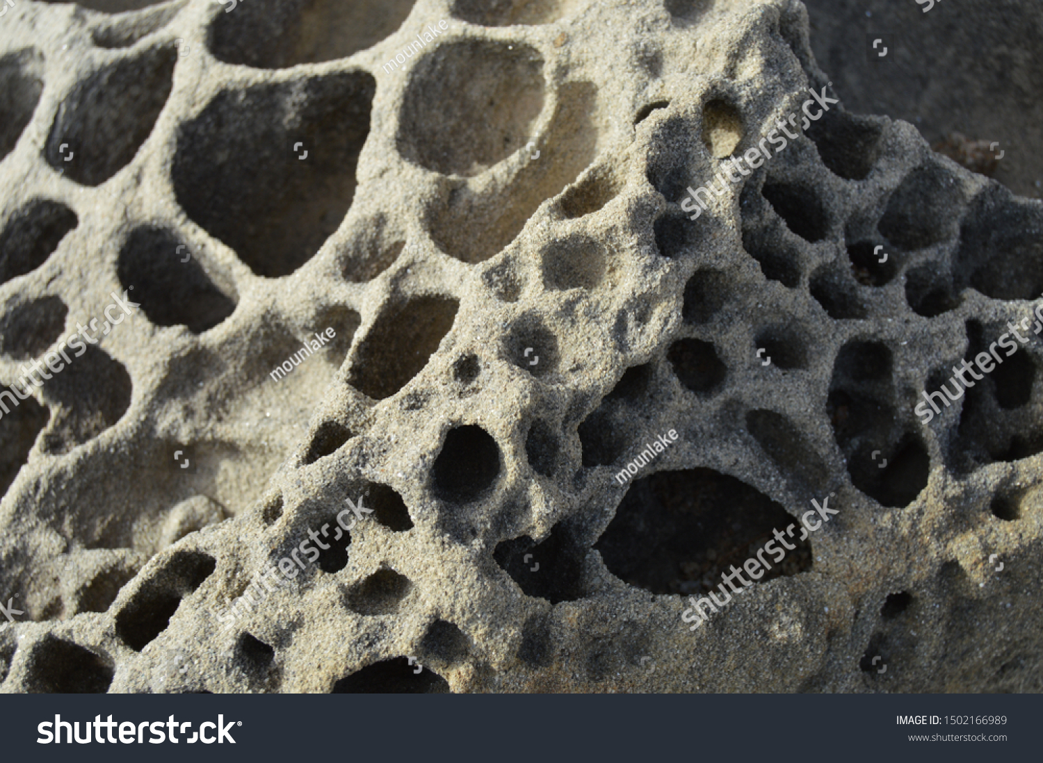 Porous Stone Full Holes Algeria Stock Photo 1502166989 | Shutterstock