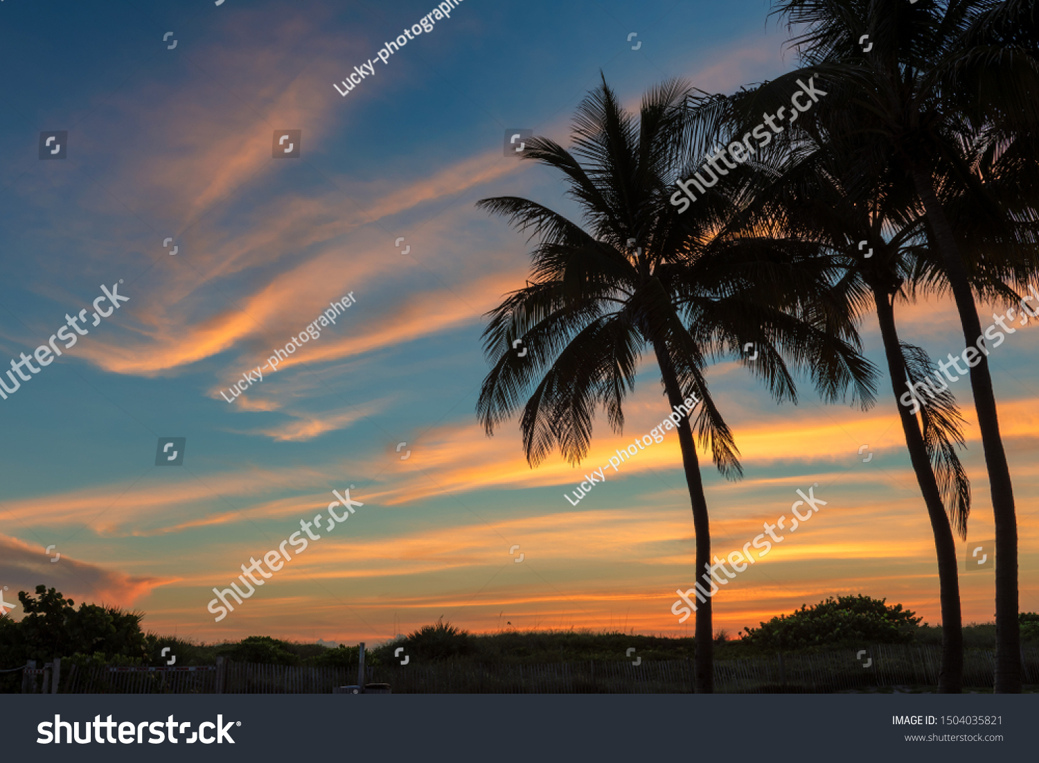 sunrise on the beach with palm trees