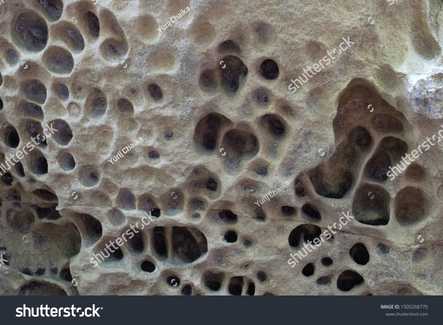 Porous Stone Limestone Rock Background Stock Photo 1505268770 