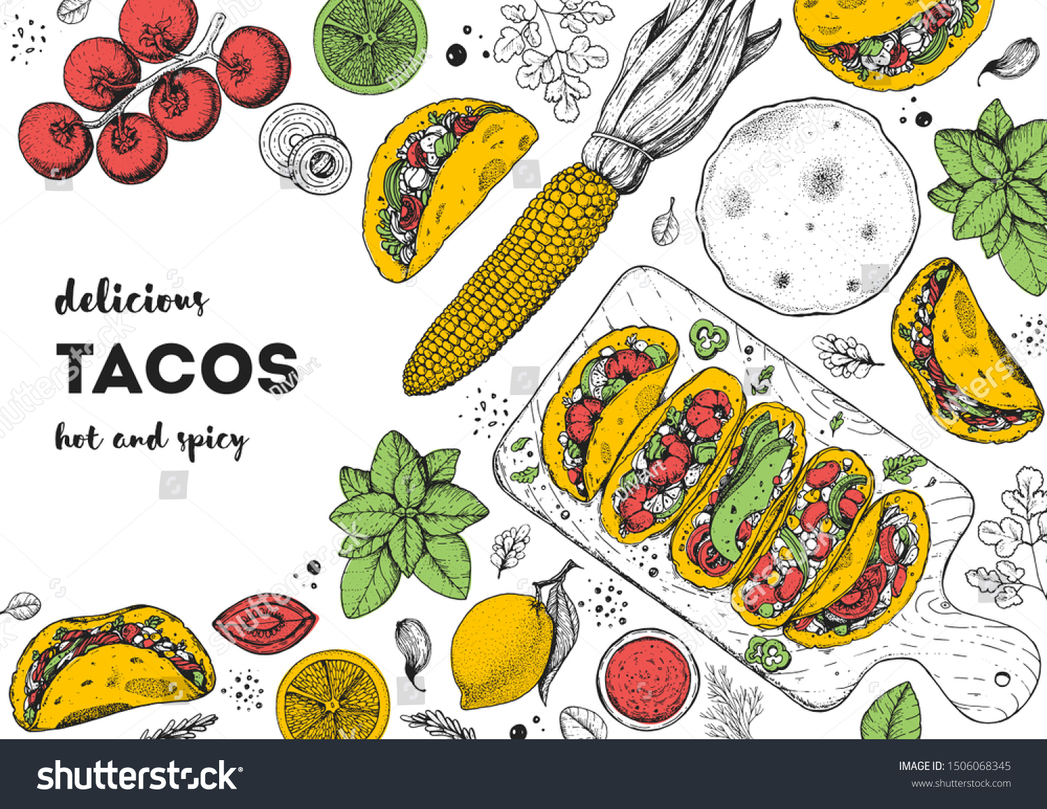 Tacos Cooking Ingredients Tacos Sketch Illustration Stock Vector ...