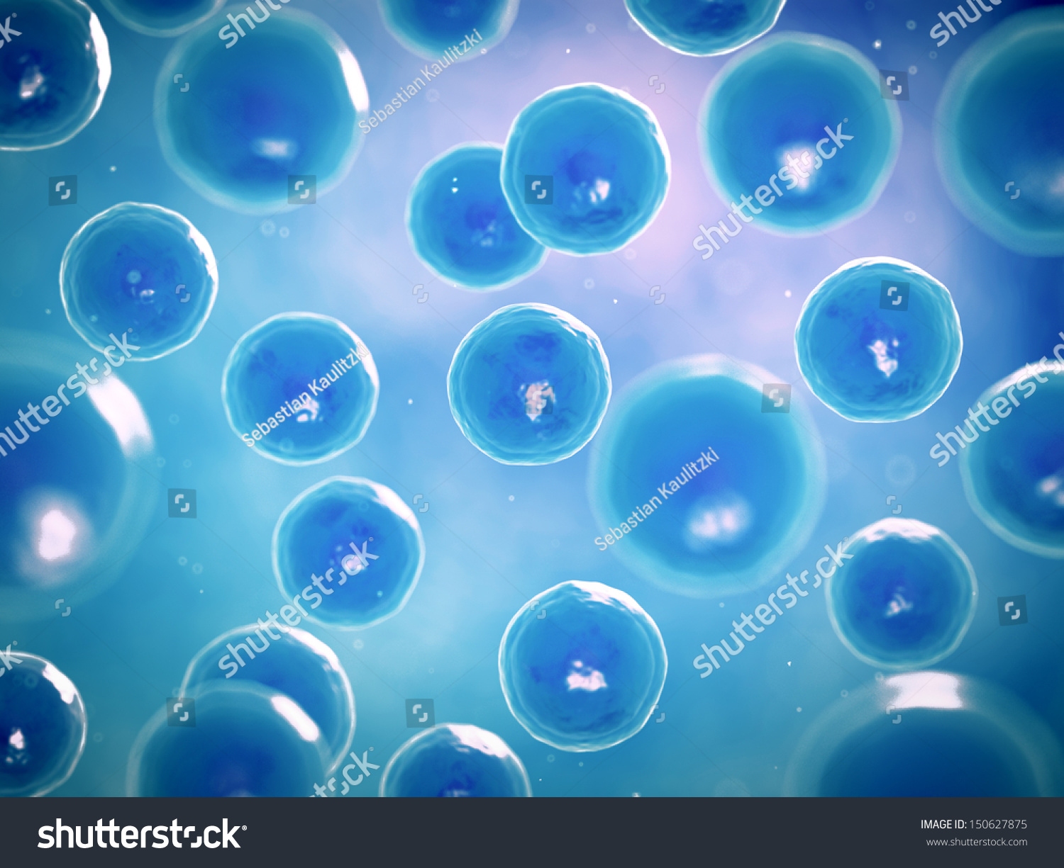 3d Rendered Illustration Human Cells Stock Illustration 150627875 ...