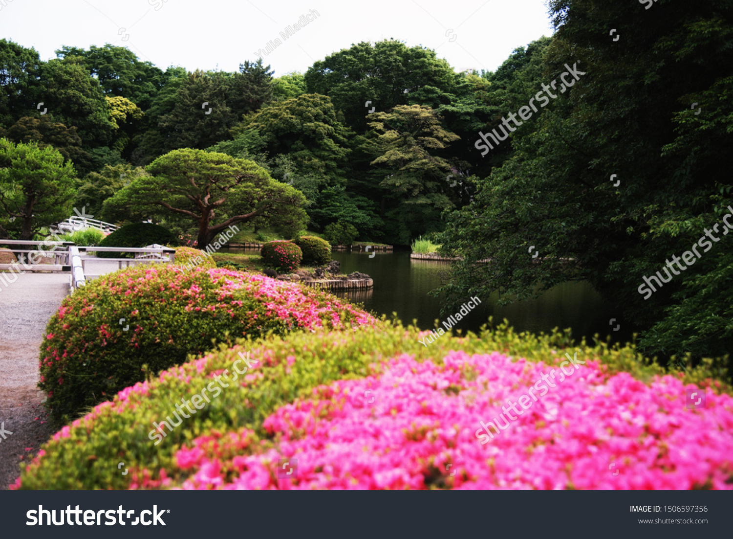 Traditional Japanese Garden Shinjuku Gyoen National Stock Photo ...