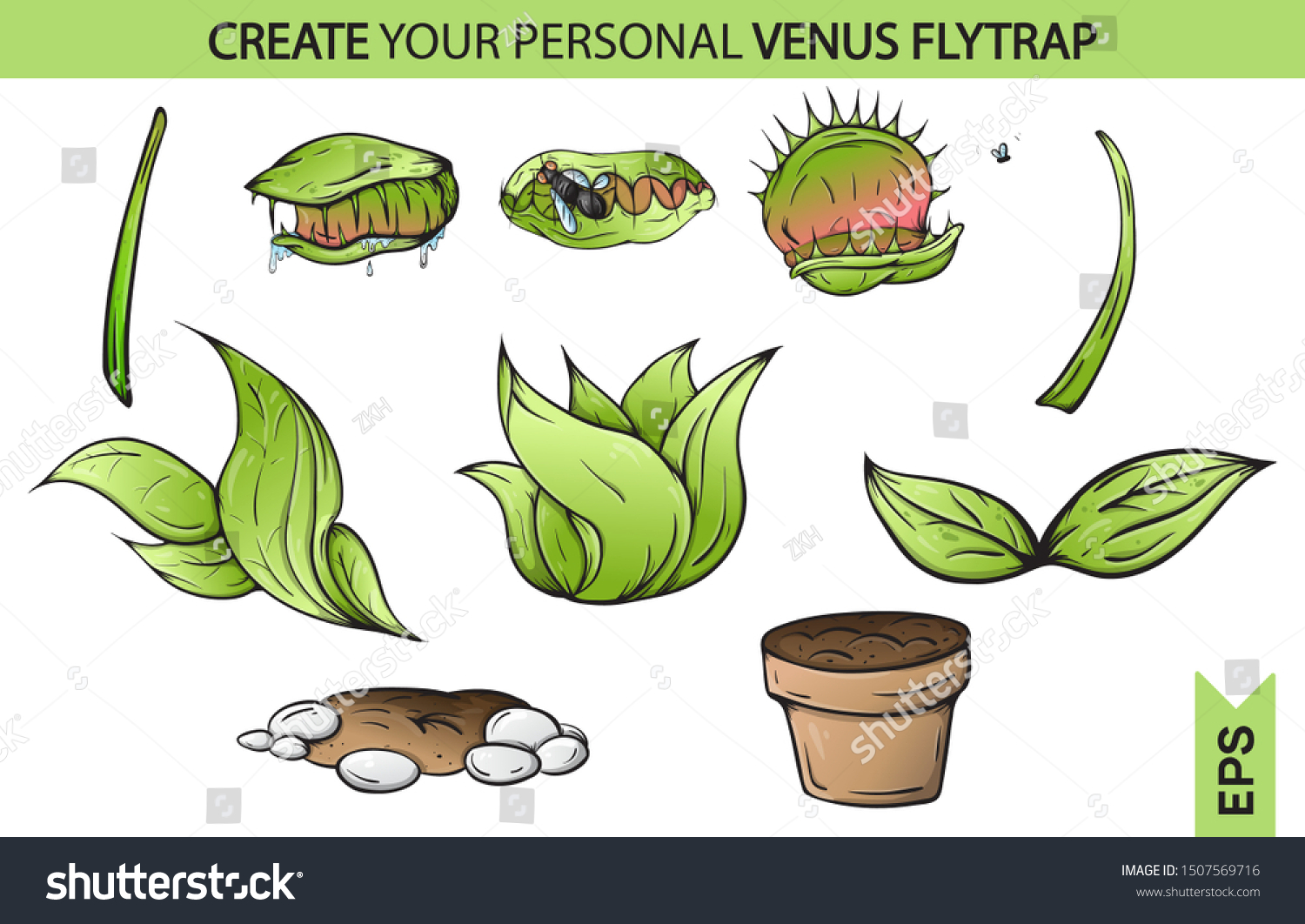 Venus Fly Trap Eat Catches Fly: stockvector (rechtenvrij) 1507569716 Shutte...