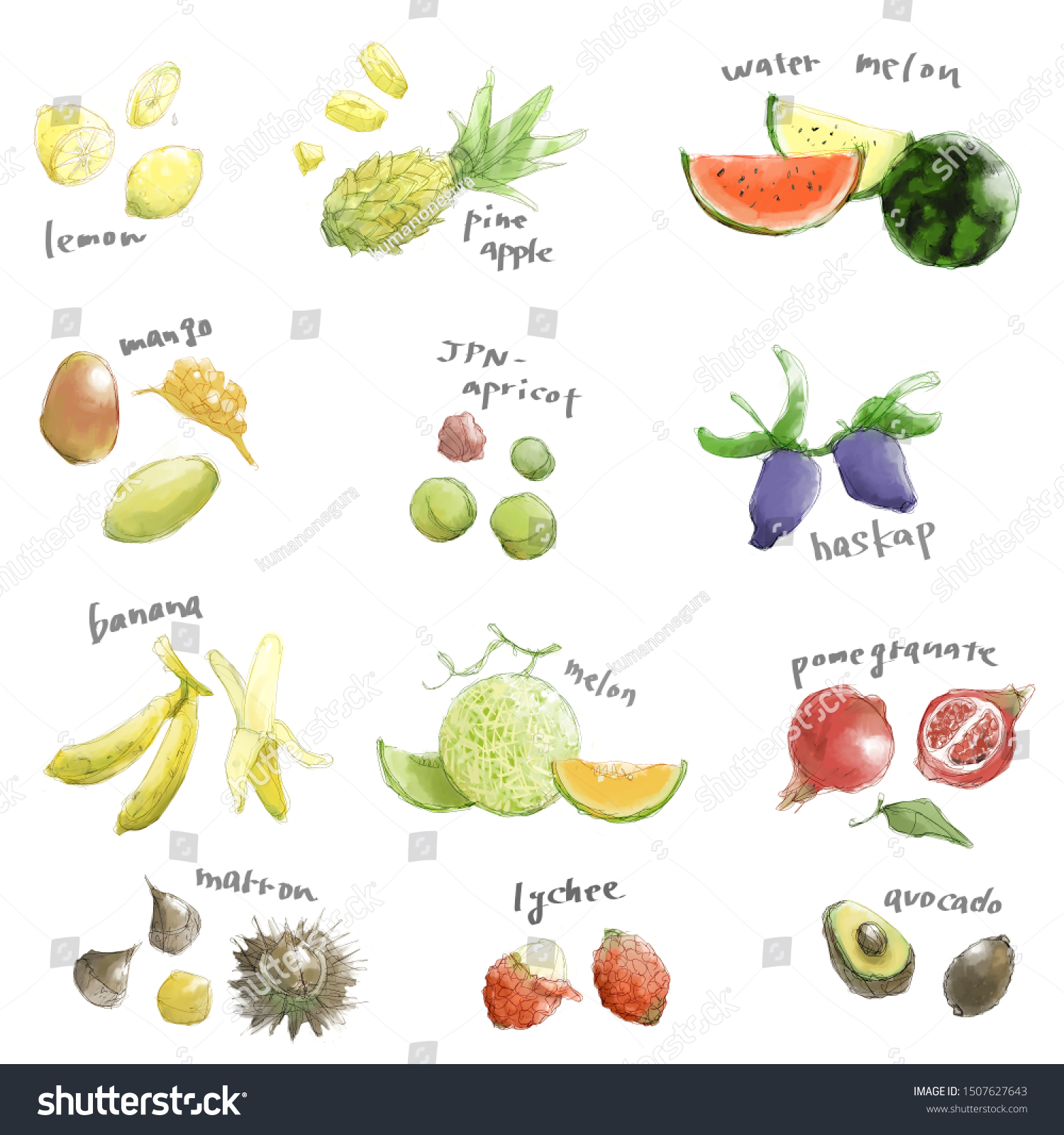 Set Fruits Containing Highest Amount Vitamin Stock Vector (Royalty Free) 1934910506 | Shutterstock